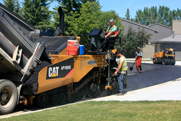 Best Residential Driveway Paver Services  in La Huerta, NM